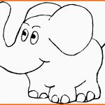 Wunderbar Ausmalbilder Und Malvorlagen Elefant Malvorlage Gratis
