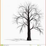 Wunderbar Baum Malen Vorlage Neu Einzigartiges Herbst Baum