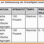 Wunderbar Einzigartig 25 Beispieletrainingsplan Pferd Vorlage