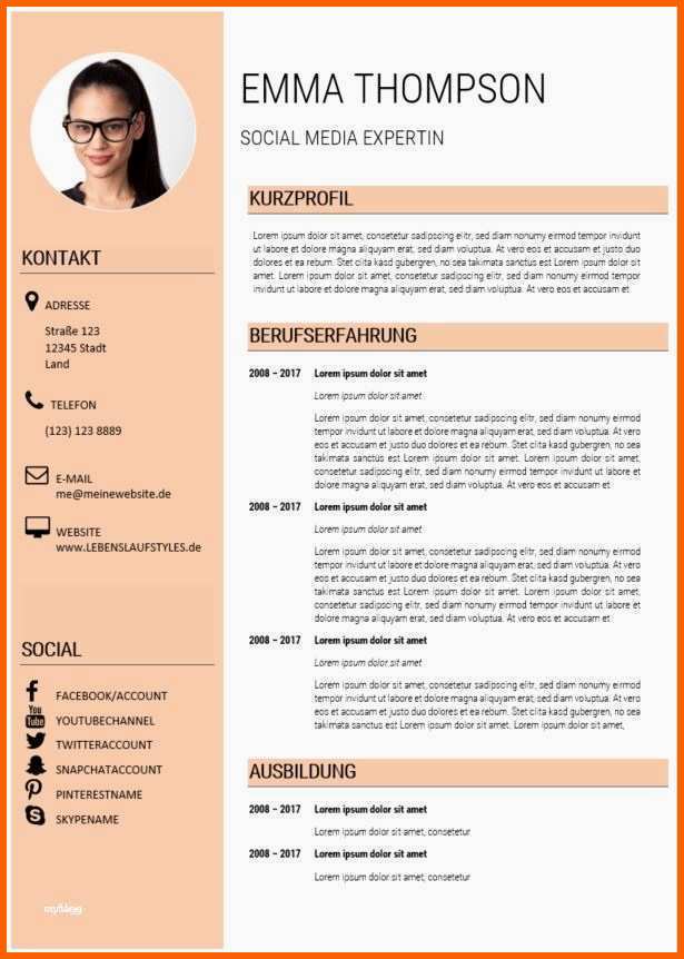 Wunderbar Kurzprofil Bewerbung Vorlage Wunderbar Lebenslauf Moderne