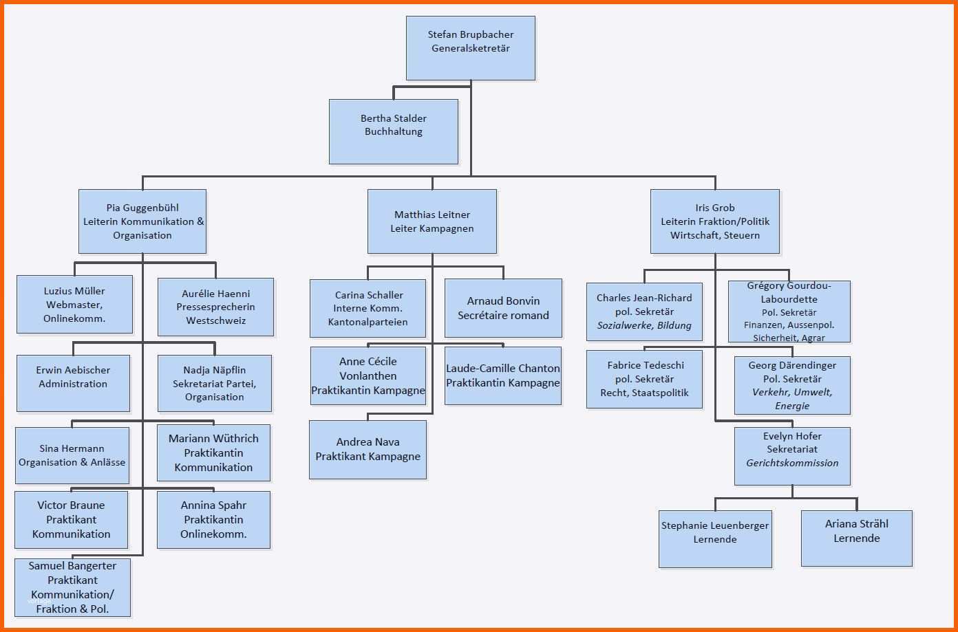 organigramm vorlage leer