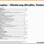 Wunderschönen 12 Businessplan Muster Kostenlos Pdf