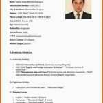 Wunderschönen 12 Englisch Cv Vorlage