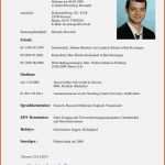 Wunderschönen 12 Lebenslauf Für Schüler