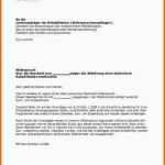 Wunderschönen 17 Exmatrikulation Widerspruch Muster