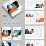 Wunderschönen 20 Best Indesign Brochure Templates for Creative