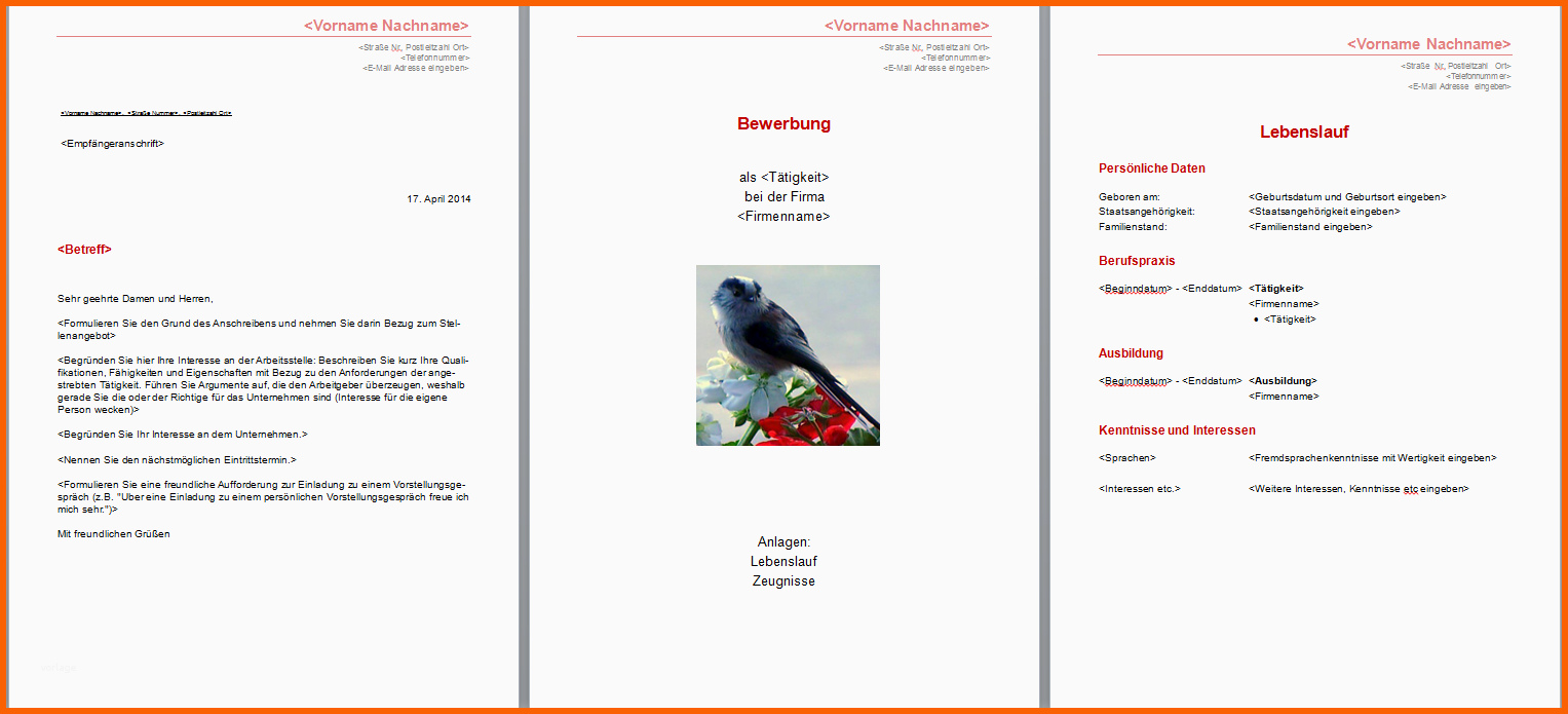 Wunderschönen Bewerbungsvorlagen Word 2010