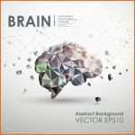 Wunderschönen Business Gehirn Moleküle Polygonalen Entwerfen