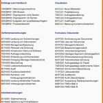 Wunderschönen Konformitätserklärung Vorlage Pdf Einzeltestament Muster