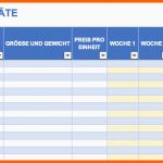 Wunderschönen Kostenlose Excel Inventar Vorlagen