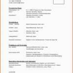 Wunderschönen Openoffice Lebenslauf Vorlage Puter Science Lebenslauf