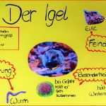 Wunderschönen Plakat Gestalten Grundschule Ej23