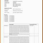 Wunderschönen Protokollvorlage Kostenlos Word &amp; Excel