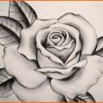Wunderschönen Rose Flower Tattoo Drawings