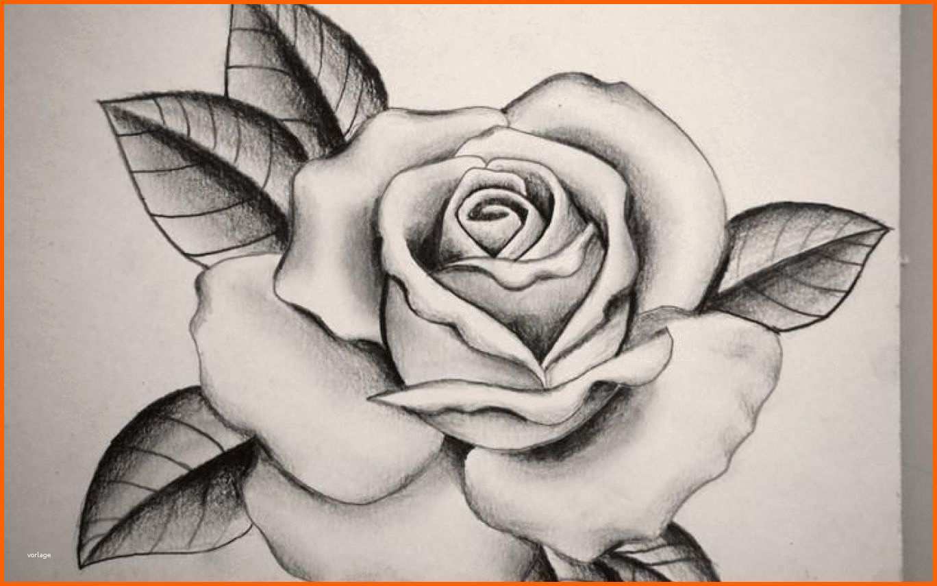 Wunderschönen Rose Flower Tattoo Drawings