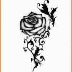 Wunderschönen Rose Tattoo Vorlagen Stilisierte Blätter Und Dornen