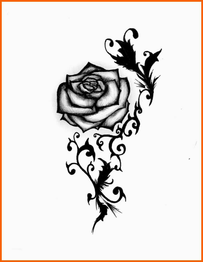 Wunderschönen Rose Tattoo Vorlagen Stilisierte Blätter Und Dornen