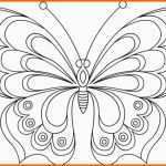 Wunderschönen Schmetterling Malvorlage 04 Vorlagen Zeichnen