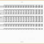 Wunderschönen Stundenabrechnung Excel Vorlage