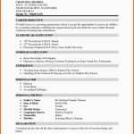 Wunderschönen Tabellarischer Lebenslauf Vorlage Openoffice Luxus