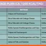 Wunderschönen Tagesplan Depression Vorlage Süß Tagesplan Für Eine Woche